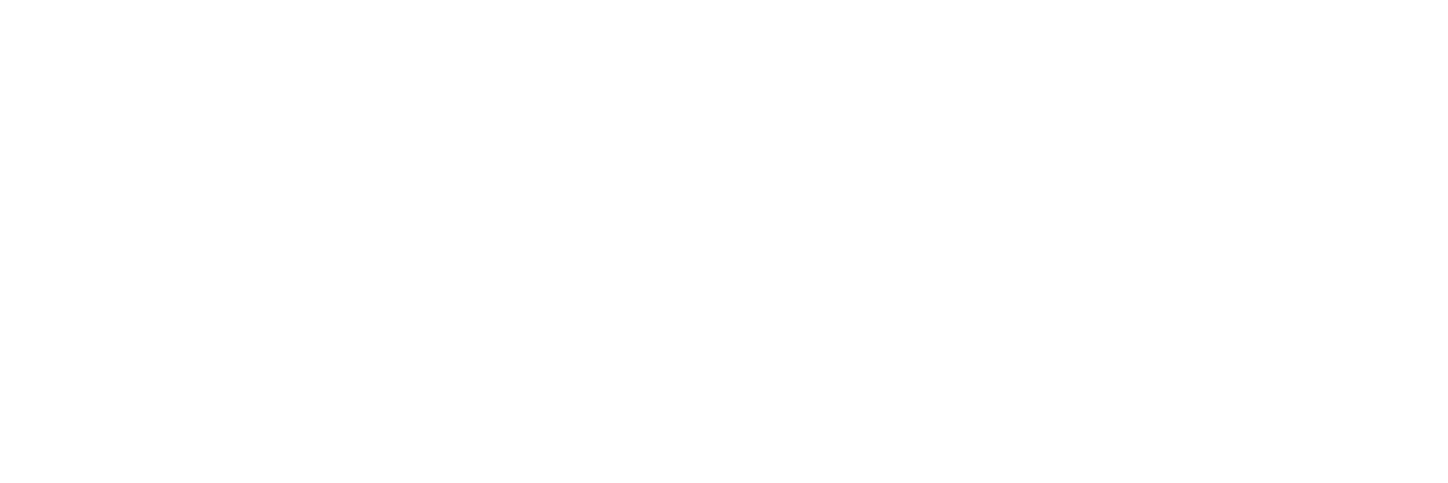 State of the Region Project National Institute of Culture and History