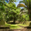 Nim Li Punit_1_w Nim Li Punit