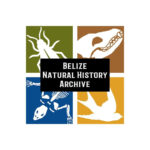 Web Belize Natural History Archive