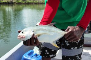 Gales Point Inventories (3)