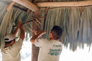 San Antonio Inventories (5)