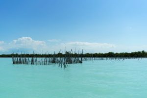 Sarteneja Inventories (5)