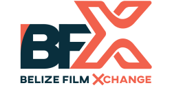 BFX Logo